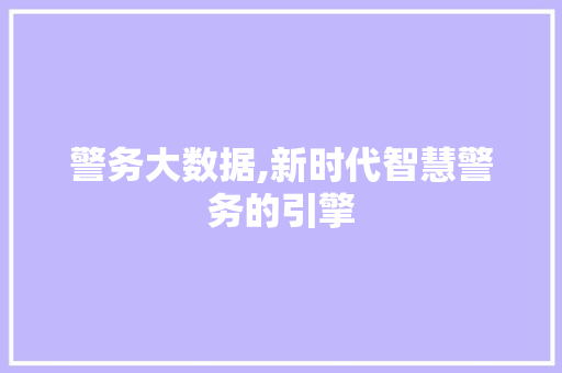 警务大数据,新时代智慧警务的引擎
