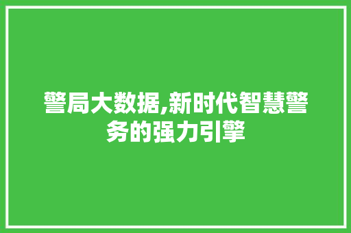 警局大数据,新时代智慧警务的强力引擎