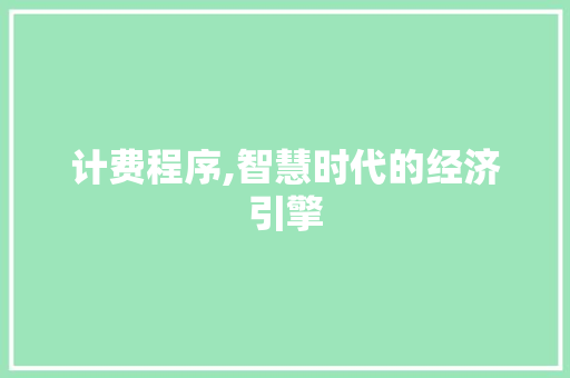 计费程序,智慧时代的经济引擎