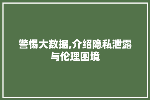 警惕大数据,介绍隐私泄露与伦理困境