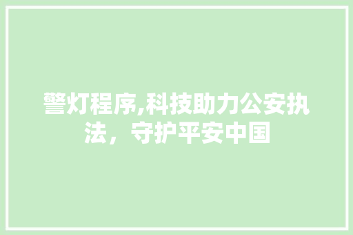 警灯程序,科技助力公安执法，守护平安中国
