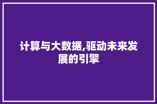 计算与大数据,驱动未来发展的引擎