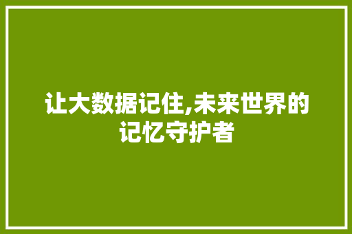 让大数据记住,未来世界的记忆守护者 神马SEO