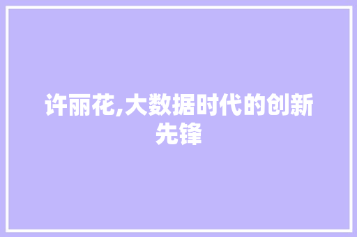 许丽花,大数据时代的创新先锋