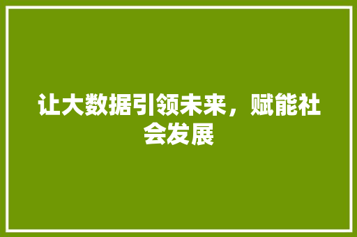 让大数据引领未来，赋能社会发展