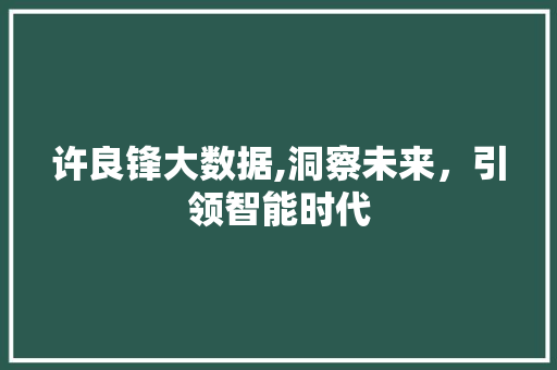 许良锋大数据,洞察未来，引领智能时代