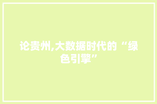 论贵州,大数据时代的“绿色引擎”