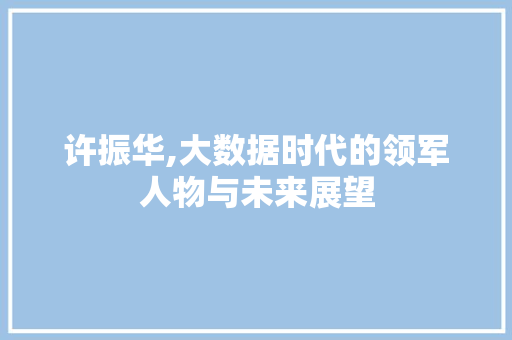 许振华,大数据时代的领军人物与未来展望