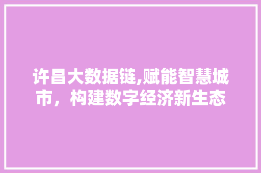 许昌大数据链,赋能智慧城市，构建数字经济新生态