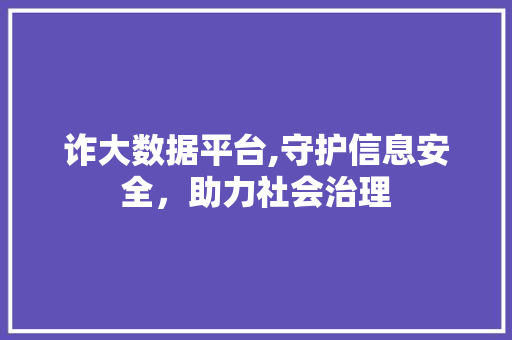 诈大数据平台,守护信息安全，助力社会治理