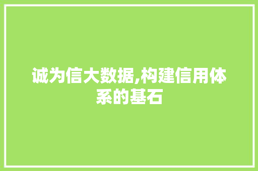 诚为信大数据,构建信用体系的基石