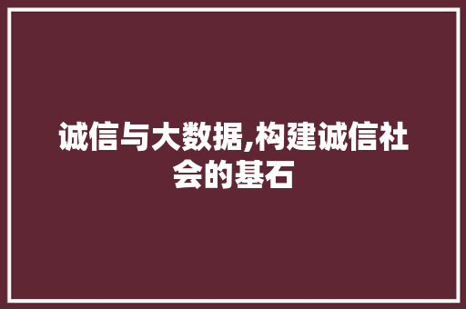 诚信与大数据,构建诚信社会的基石