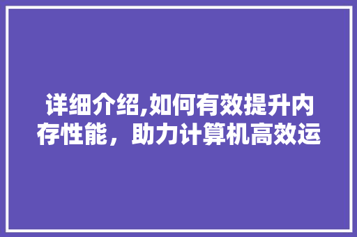 详细介绍,如何有效提升内存性能，助力计算机高效运行