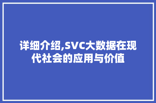 详细介绍,SVC大数据在现代社会的应用与价值