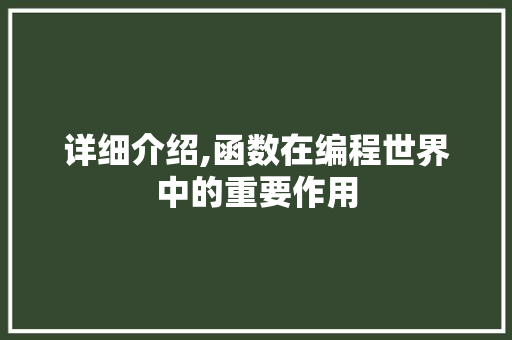 详细介绍,函数在编程世界中的重要作用 网站建设公司