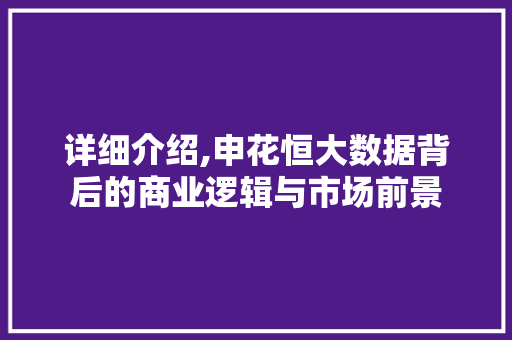 详细介绍,申花恒大数据背后的商业逻辑与市场前景