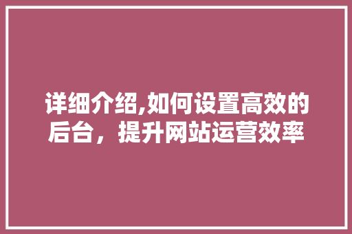 详细介绍,如何设置高效的后台，提升网站运营效率