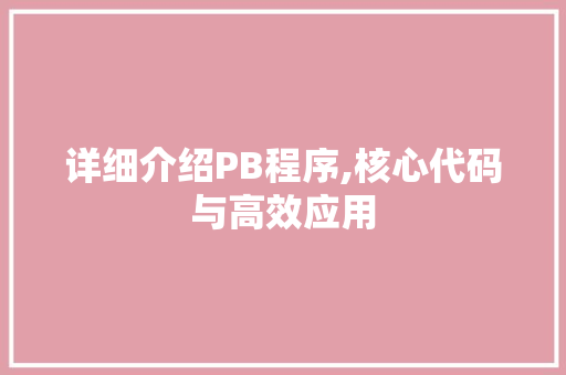 详细介绍PB程序,核心代码与高效应用
