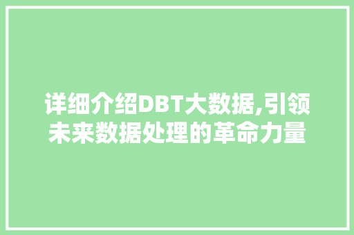 详细介绍DBT大数据,引领未来数据处理的革命力量