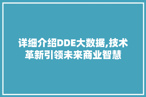 详细介绍DDE大数据,技术革新引领未来商业智慧