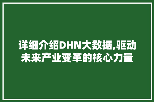 详细介绍DHN大数据,驱动未来产业变革的核心力量