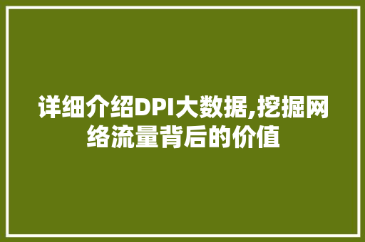 详细介绍DPI大数据,挖掘网络流量背后的价值
