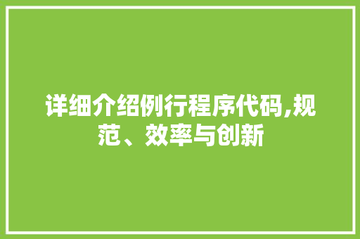 详细介绍例行程序代码,规范、效率与创新