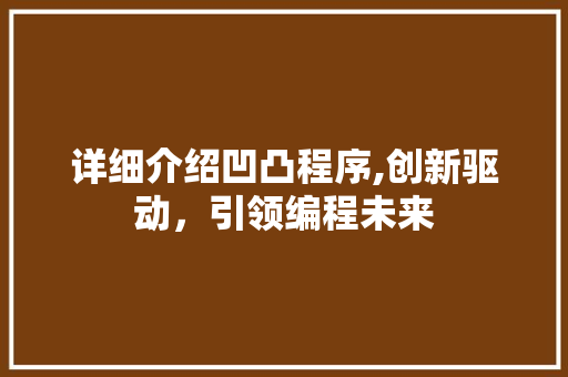 详细介绍凹凸程序,创新驱动，引领编程未来