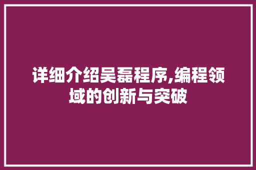 详细介绍吴磊程序,编程领域的创新与突破