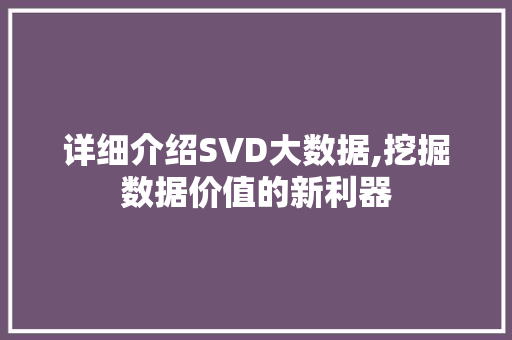 详细介绍SVD大数据,挖掘数据价值的新利器