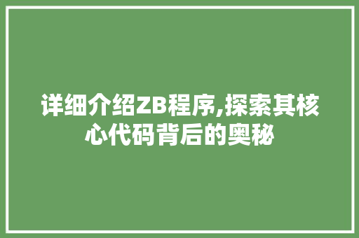 详细介绍ZB程序,探索其核心代码背后的奥秘