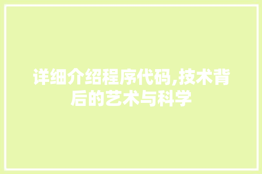详细介绍程序代码,技术背后的艺术与科学
