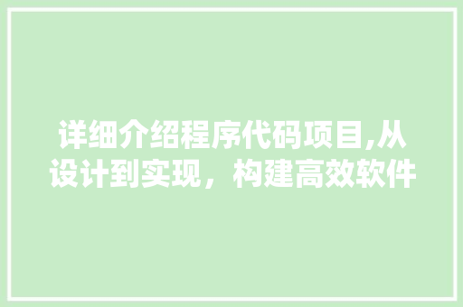 详细介绍程序代码项目,从设计到实现，构建高效软件系统的秘密武器