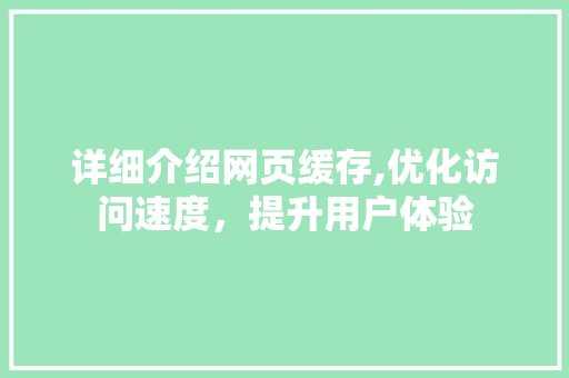 详细介绍网页缓存,优化访问速度，提升用户体验