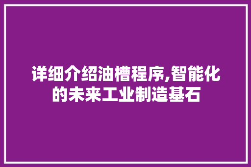 详细介绍油槽程序,智能化的未来工业制造基石