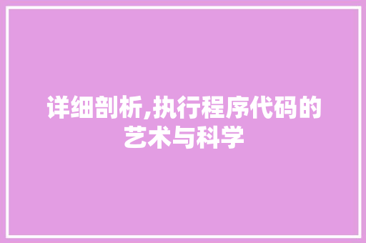 详细剖析,执行程序代码的艺术与科学