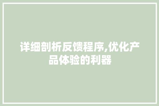 详细剖析反馈程序,优化产品体验的利器 神马SEO