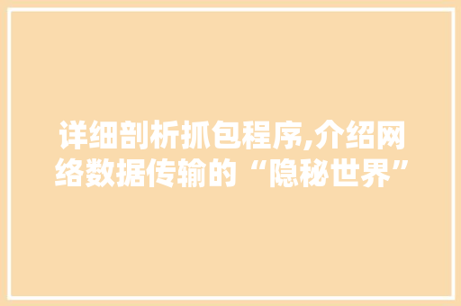 详细剖析抓包程序,介绍网络数据传输的“隐秘世界”