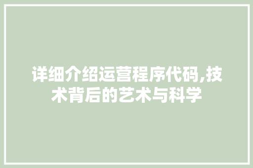详细介绍运营程序代码,技术背后的艺术与科学