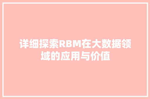 详细探索RBM在大数据领域的应用与价值