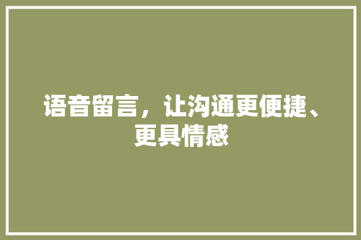 语音留言，让沟通更便捷、更具情感