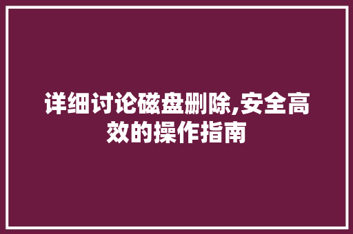 详细讨论磁盘删除,安全高效的操作指南