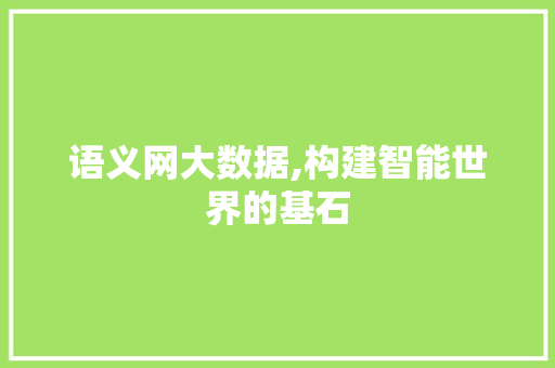 语义网大数据,构建智能世界的基石
