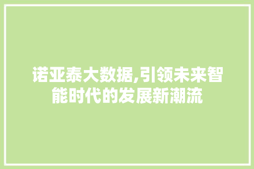 诺亚泰大数据,引领未来智能时代的发展新潮流