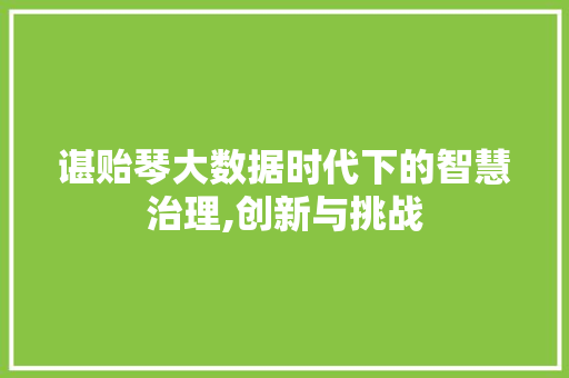 谌贻琴大数据时代下的智慧治理,创新与挑战 搜狗SEO