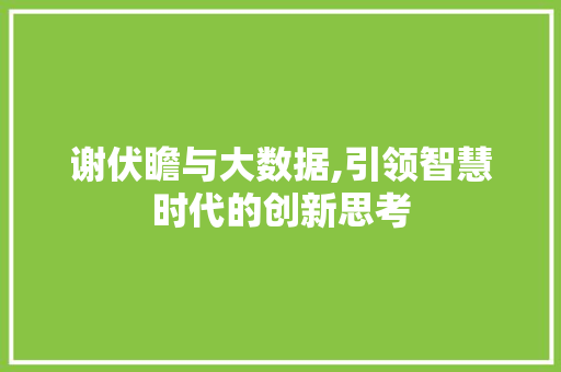 谢伏瞻与大数据,引领智慧时代的创新思考 神马SEO