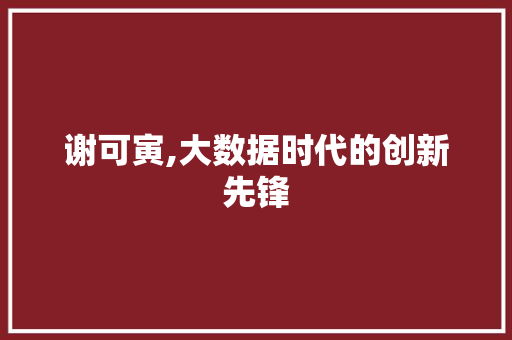 谢可寅,大数据时代的创新先锋 必应SEO
