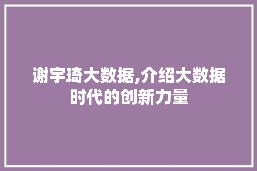 谢宇琦大数据,介绍大数据时代的创新力量
