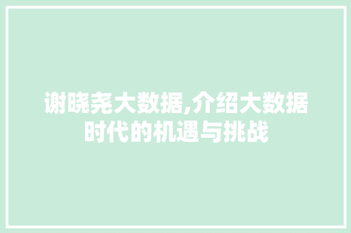 谢晓尧大数据,介绍大数据时代的机遇与挑战
