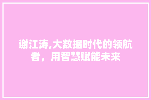谢江涛,大数据时代的领航者，用智慧赋能未来